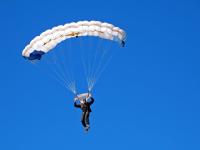 东契奇连续三场比赛得分爆冷，瑞士队不断突破！观众掌声雷动